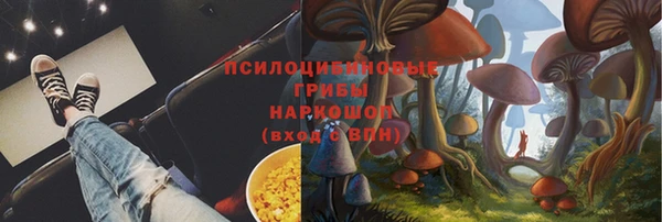 ГАЛЛЮЦИНОГЕННЫЕ ГРИБЫ Рославль