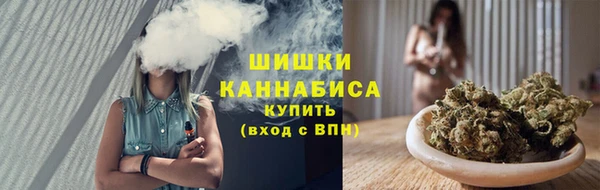 ГАЛЛЮЦИНОГЕННЫЕ ГРИБЫ Рославль