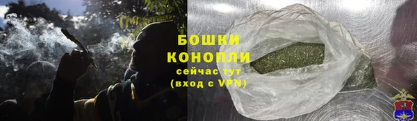 ГАЛЛЮЦИНОГЕННЫЕ ГРИБЫ Рославль