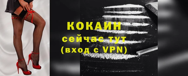 ГАЛЛЮЦИНОГЕННЫЕ ГРИБЫ Рославль