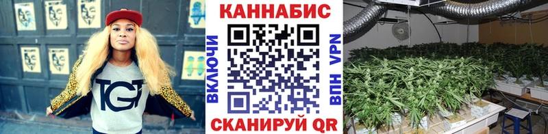 Купить  Заволжье  Конопля Bruce Banner 